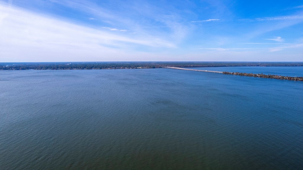 AERIAL OF LAKE MARION